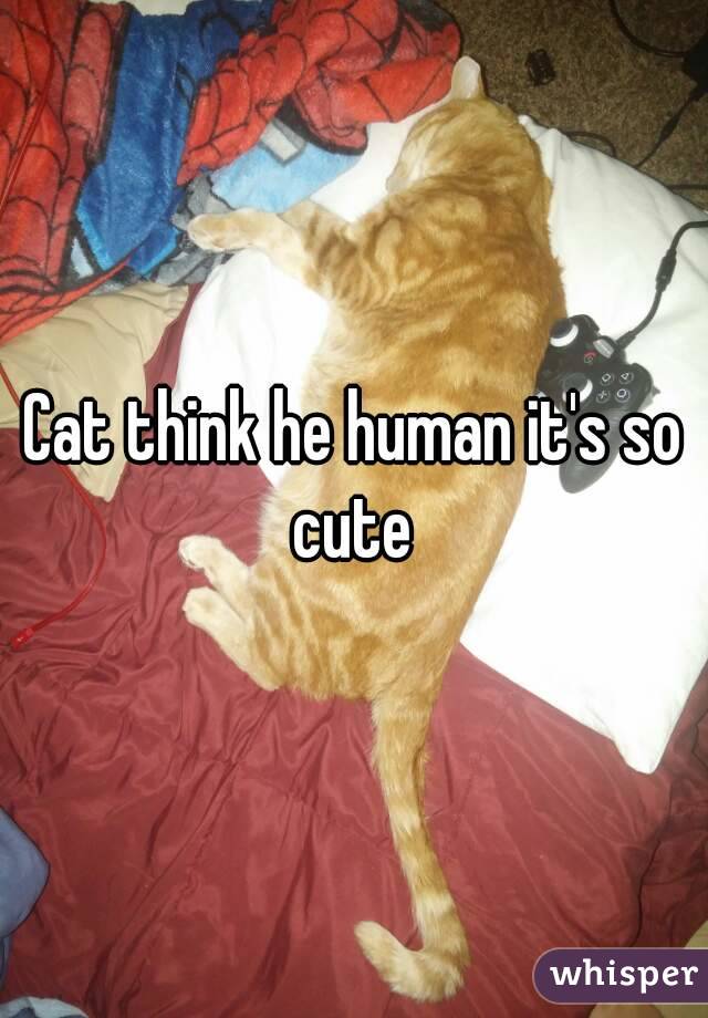 Cat think he human it's so cute 