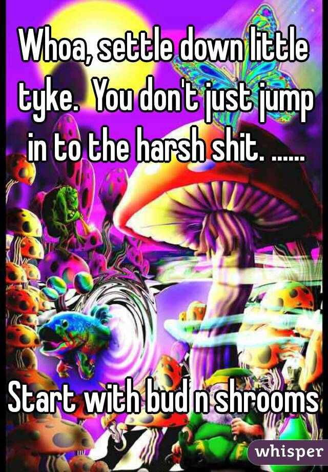 Whoa, settle down little tyke.  You don't just jump in to the harsh shit. ......




Start with bud n shrooms