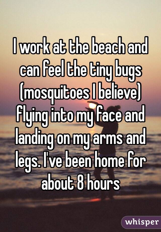 I work at the beach and can feel the tiny bugs (mosquitoes I believe) flying into my face and landing on my arms and legs. I've been home for about 8 hours
