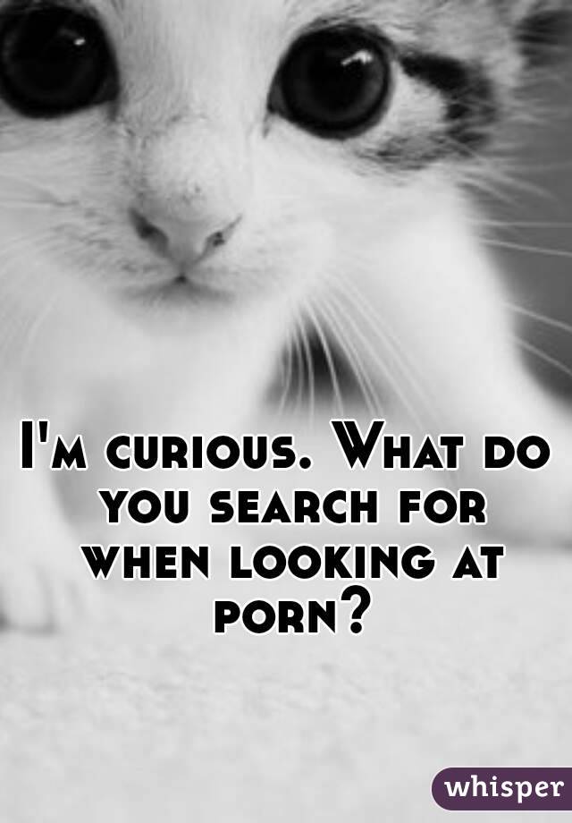 I'm curious. What do you search for when looking at porn?