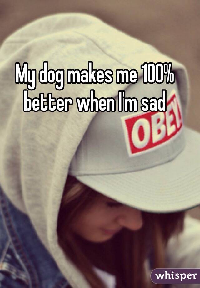 My dog makes me 100% better when I'm sad