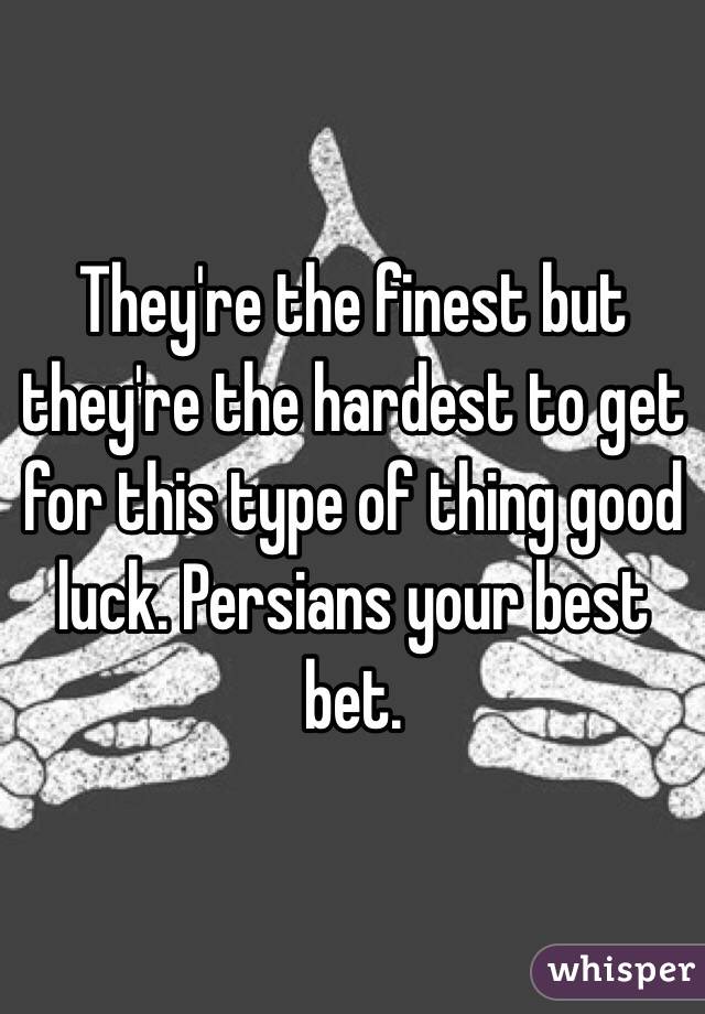 They're the finest but they're the hardest to get for this type of thing good luck. Persians your best bet. 