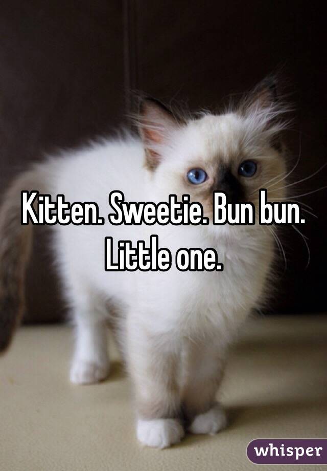 Kitten. Sweetie. Bun bun. Little one.