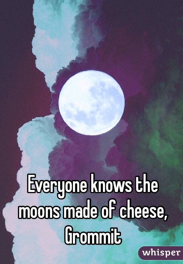 Everyone knows the moons made of cheese, Grommit