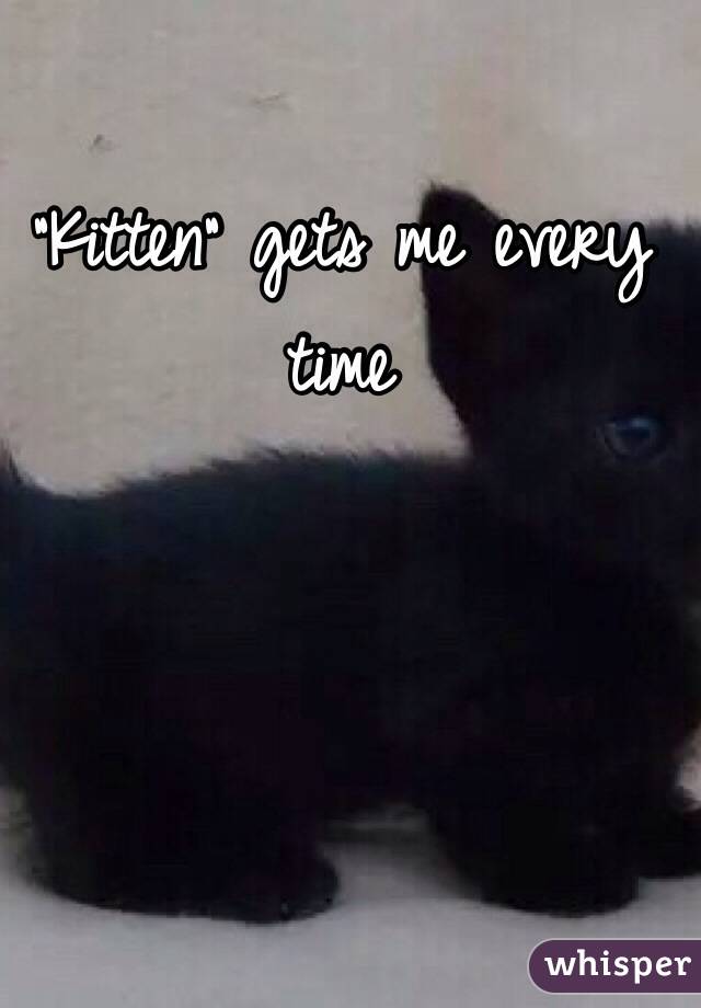 "Kitten" gets me every time