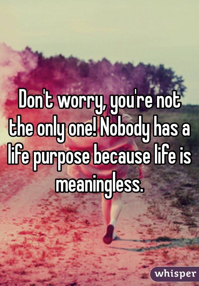 Don't worry, you're not the only one! Nobody has a life purpose because life is meaningless.