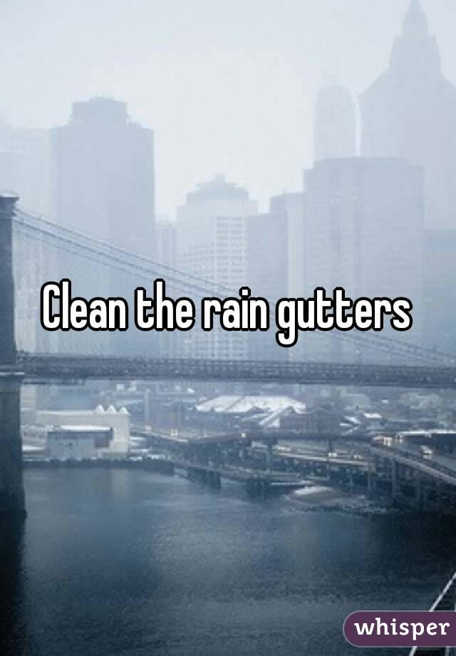 Clean the rain gutters