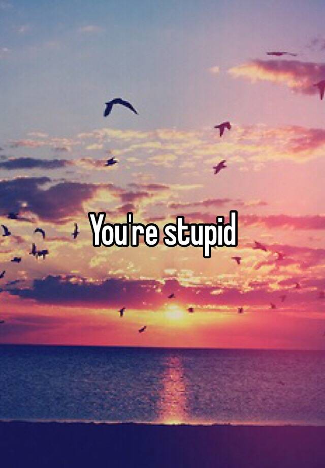 you-re-stupid