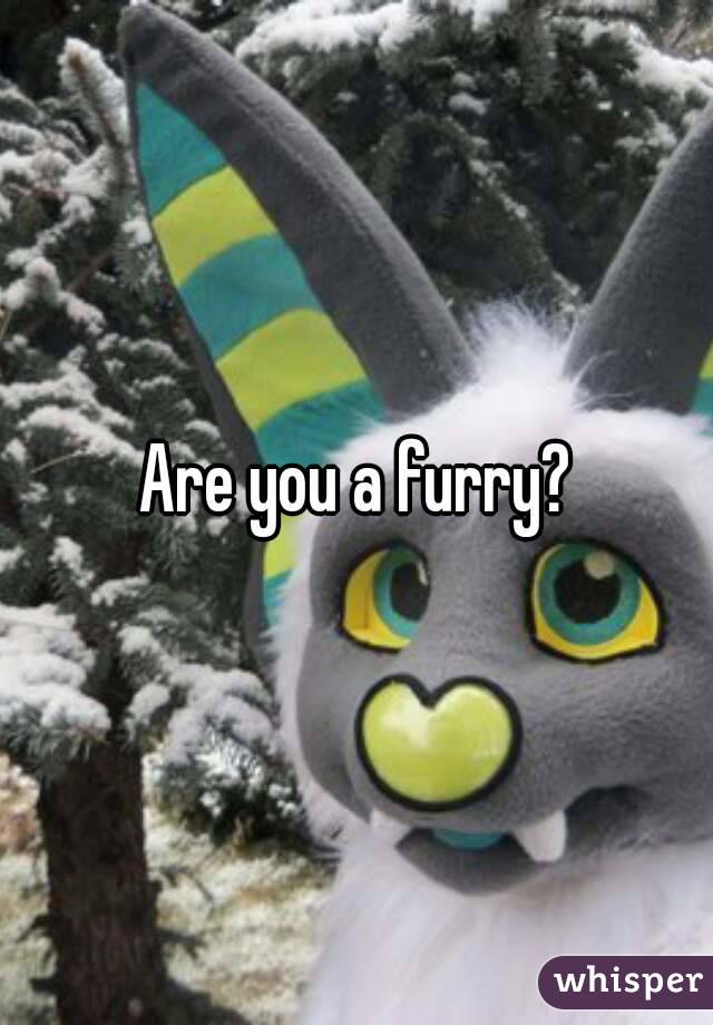 Are you a furry?
