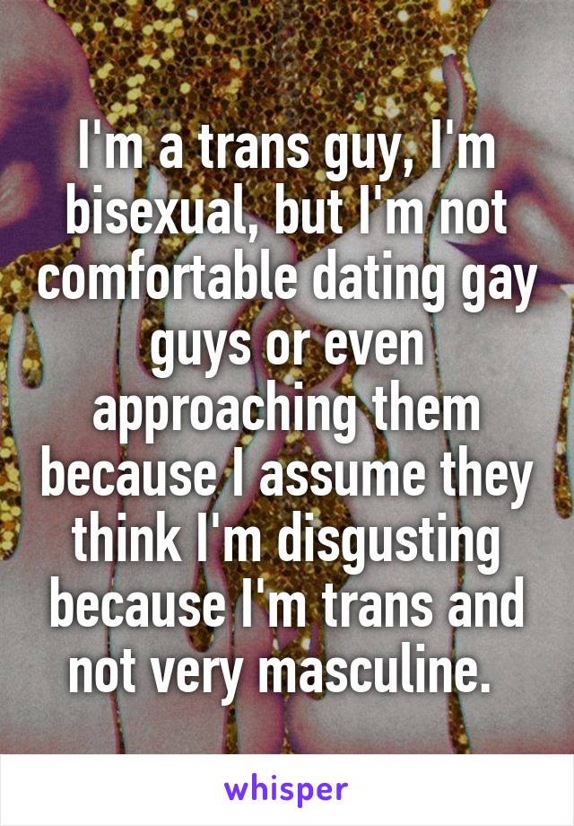 I'm a trans guy, I'm bisexual, but I'm not comfortable dating gay guys or even approaching them because I assume they think I'm disgusting because I'm trans and not very masculine. 