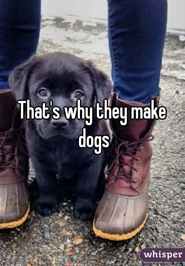 That's why they make dogs