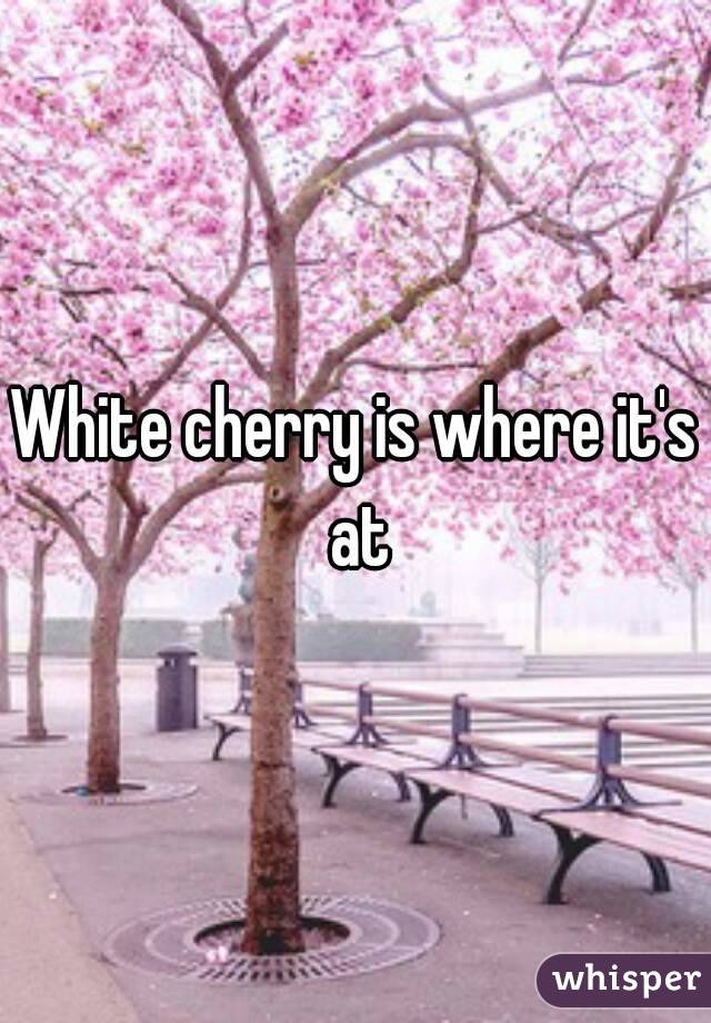 White cherry is where it's at