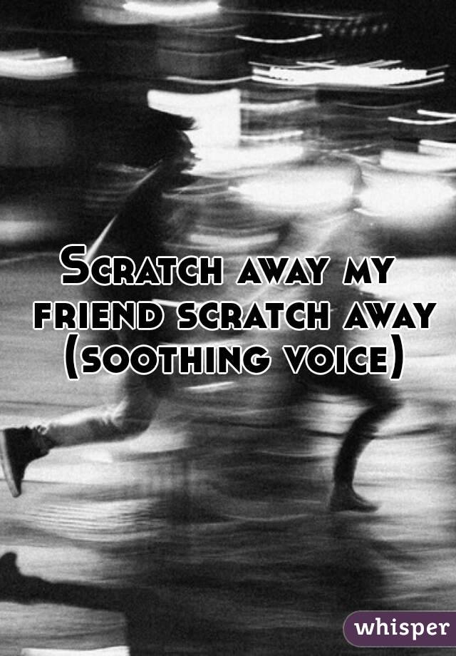 Scratch away my friend scratch away (soothing voice)