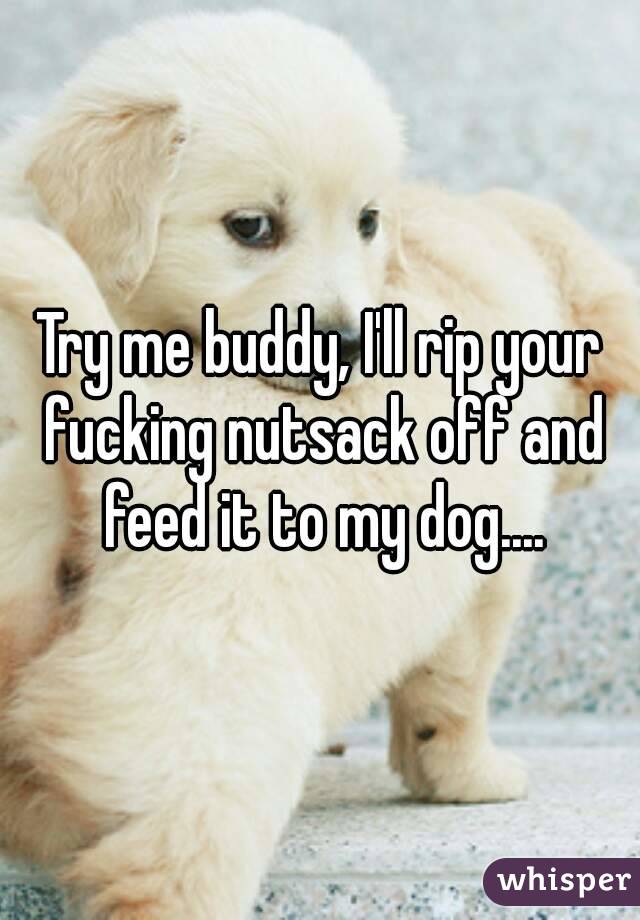 Try me buddy, I'll rip your fucking nutsack off and feed it to my dog....