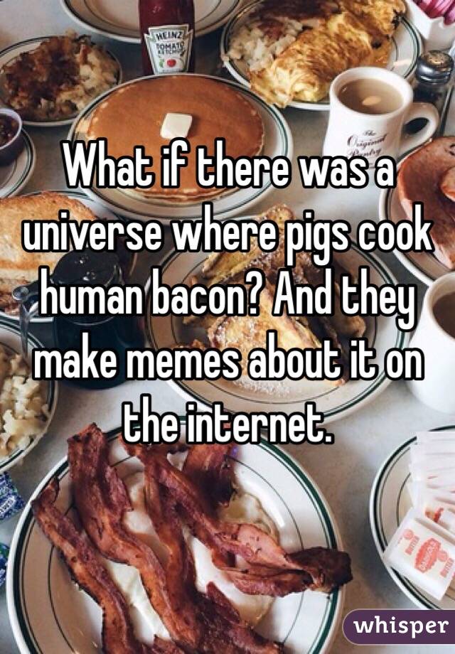 What if there was a universe where pigs cook human bacon? And they make memes about it on the internet.