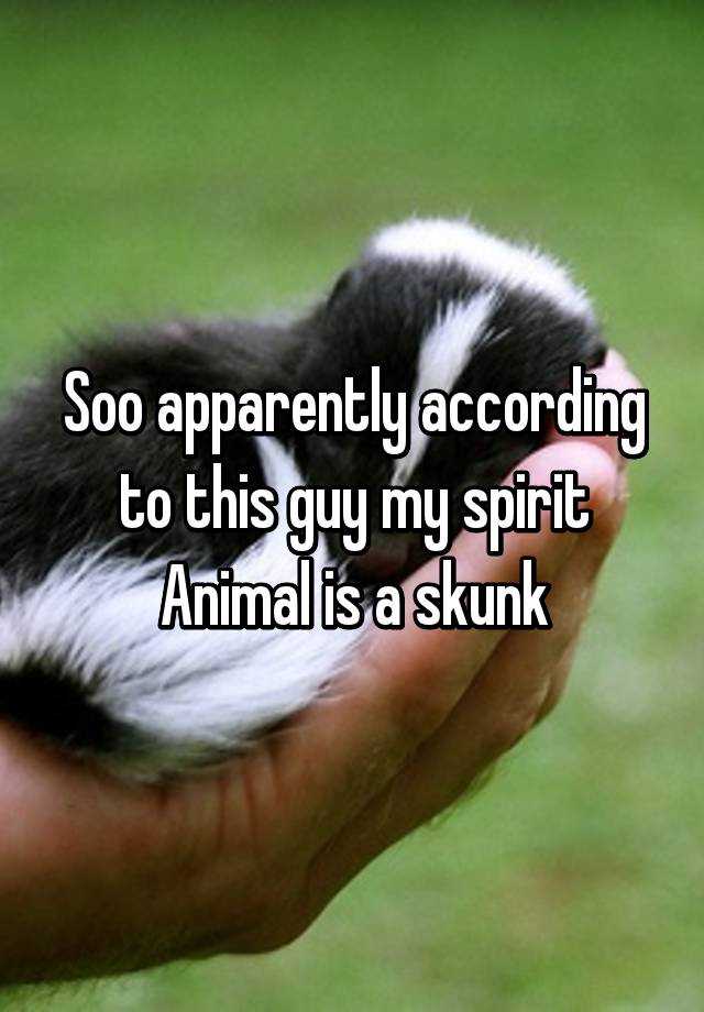 Soo apparently according to this guy my spirit Animal is a skunk