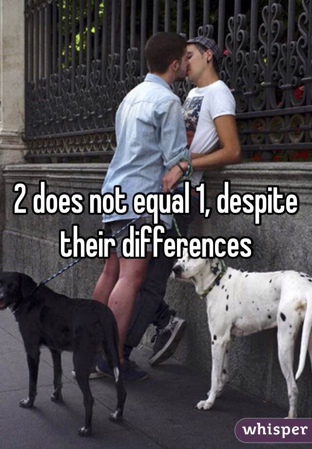 2 does not equal 1, despite their differences