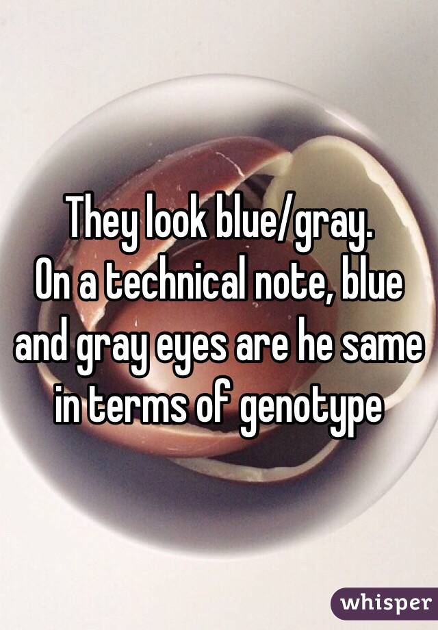 They look blue/gray.
On a technical note, blue and gray eyes are he same in terms of genotype 
