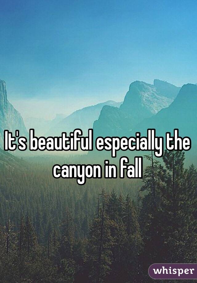 It's beautiful especially the canyon in fall