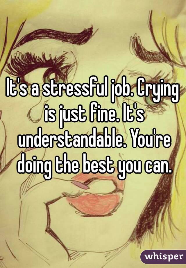 It's a stressful job. Crying is just fine. It's understandable. You're doing the best you can.