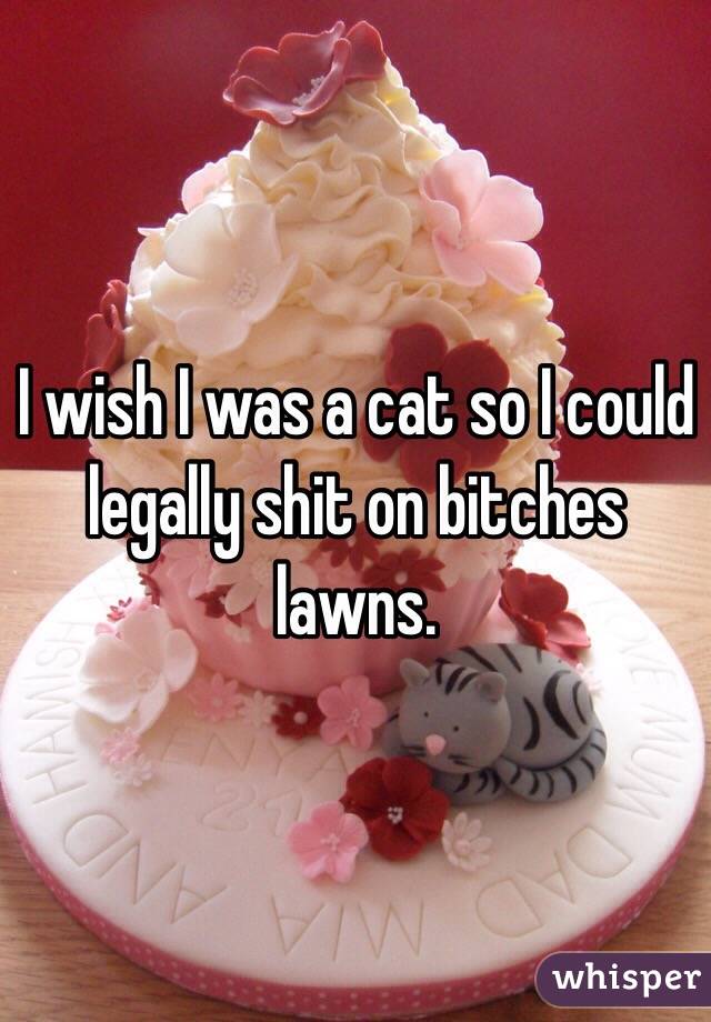 I wish I was a cat so I could legally shit on bitches lawns.