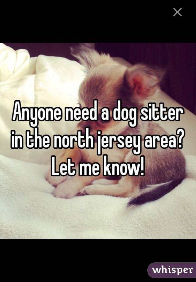 Anyone need a dog sitter in the north jersey area? Let me know! 
