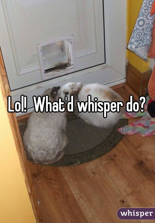 Lol!  What'd whisper do?