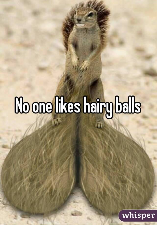 No One Likes Hairy Balls 