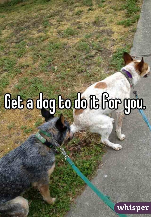 Get a dog to do it for you.