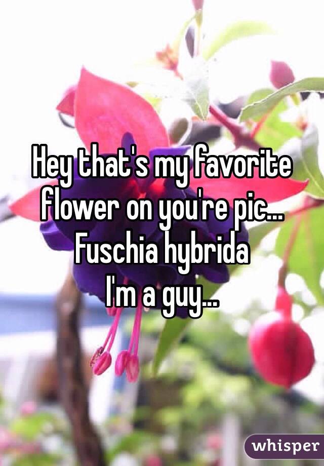 Hey that's my favorite flower on you're pic... Fuschia hybrida
I'm a guy... 