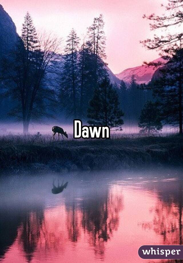 Dawn