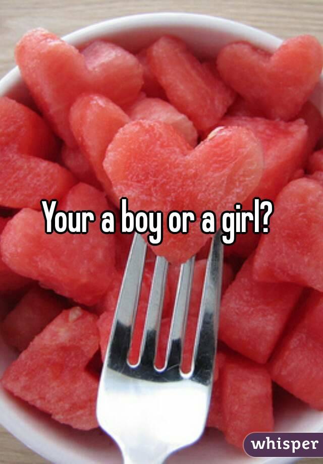 Your a boy or a girl? 
