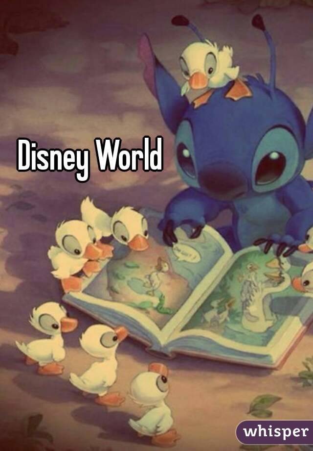 Disney World 