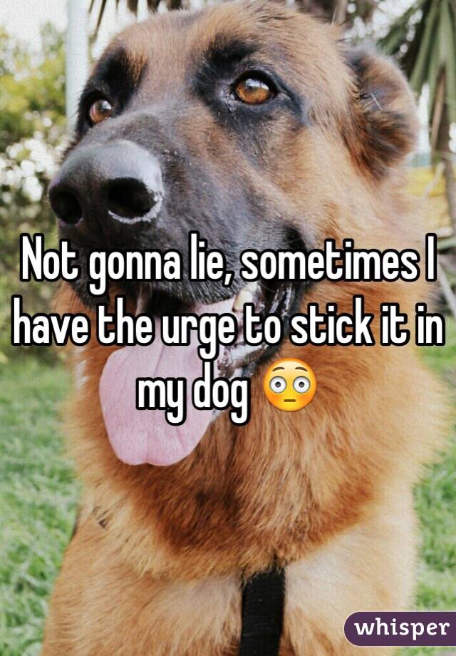 Not gonna lie, sometimes I have the urge to stick it in my dog 😳