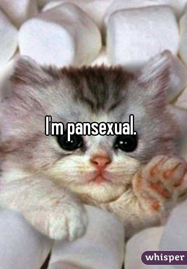 I'm pansexual. 