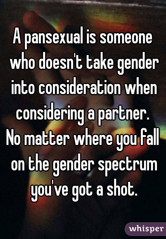 A pansexual is someone who doesn't take gender into consideration when considering a partner. 
No matter where you fall on the gender spectrum you've got a shot.