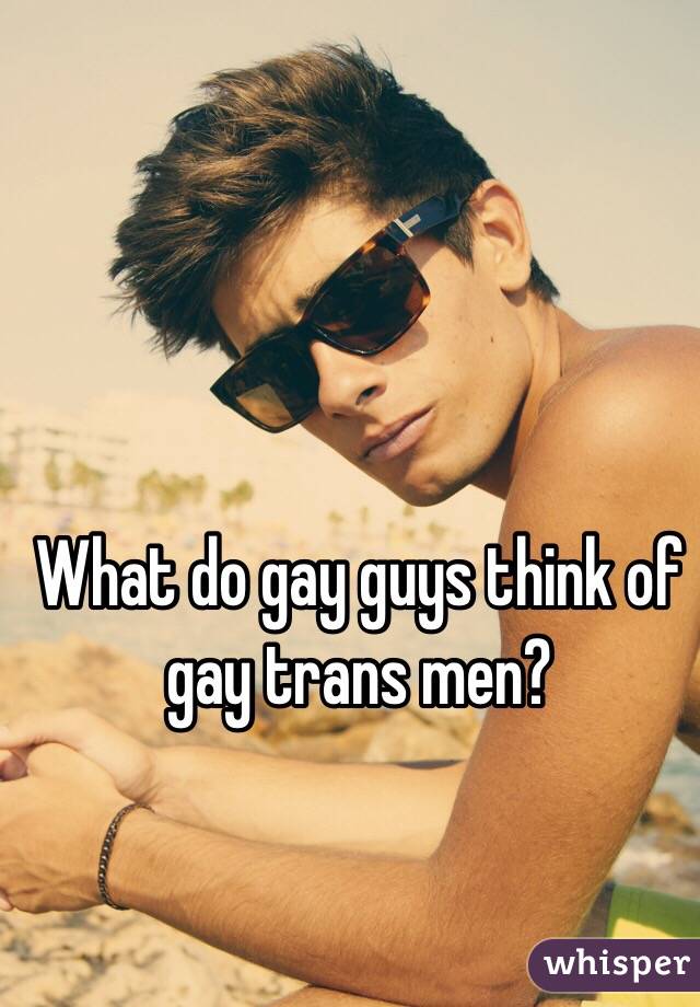 What do gay guys think of gay trans men?