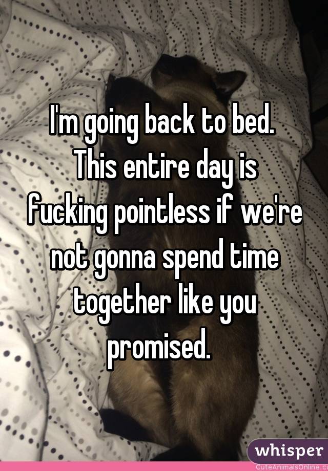 I'm going back to bed. 
This entire day is fucking pointless if we're not gonna spend time together like you promised.  