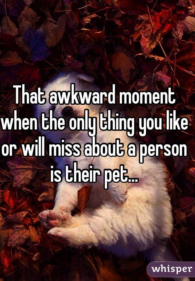 That awkward moment when the only thing you like or will miss about a person is their pet...