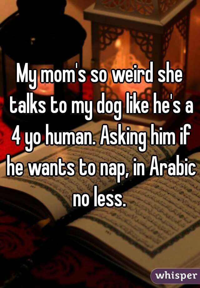 My mom's so weird she talks to my dog like he's a 4 yo human. Asking him if he wants to nap, in Arabic no less. 