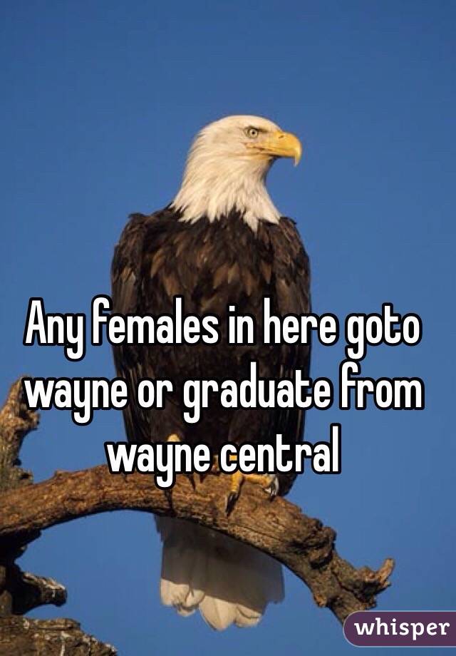 Any females in here goto wayne or graduate from wayne central 