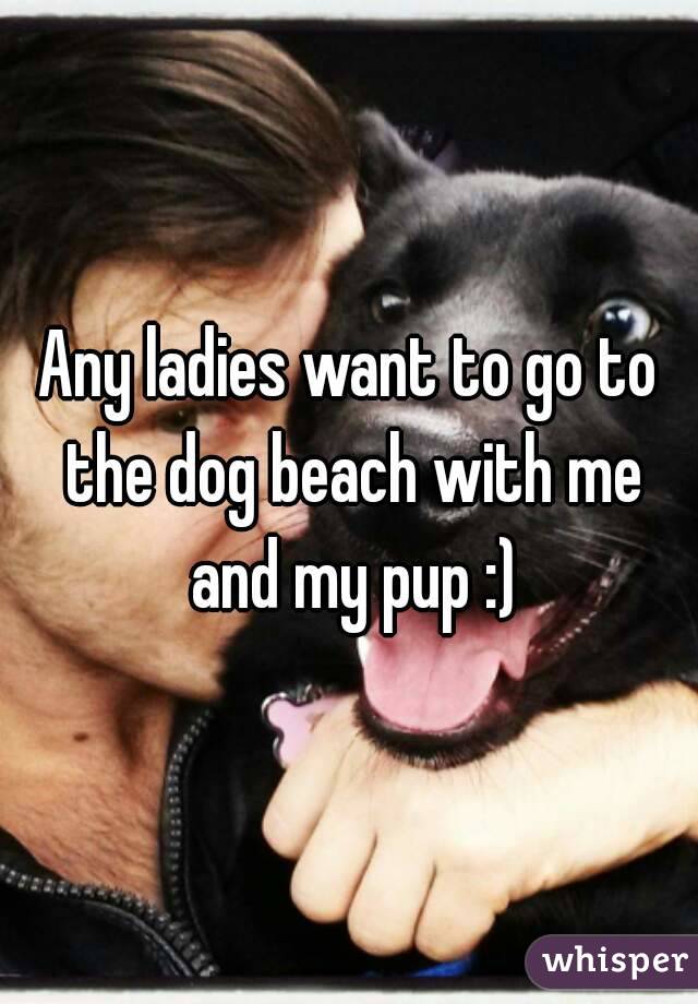 Any ladies want to go to the dog beach with me and my pup :)