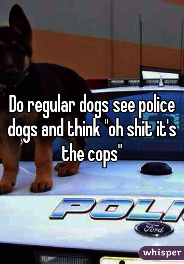 Do regular dogs see police dogs and think "oh shit it's the cops"