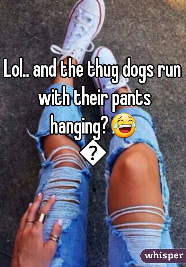 Lol.. and the thug dogs run with their pants hanging?😂😂