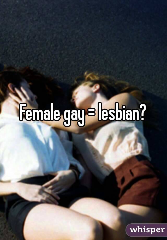 Female gay = lesbian?