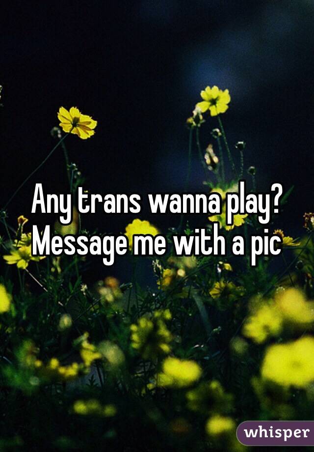 Any trans wanna play? Message me with a pic 