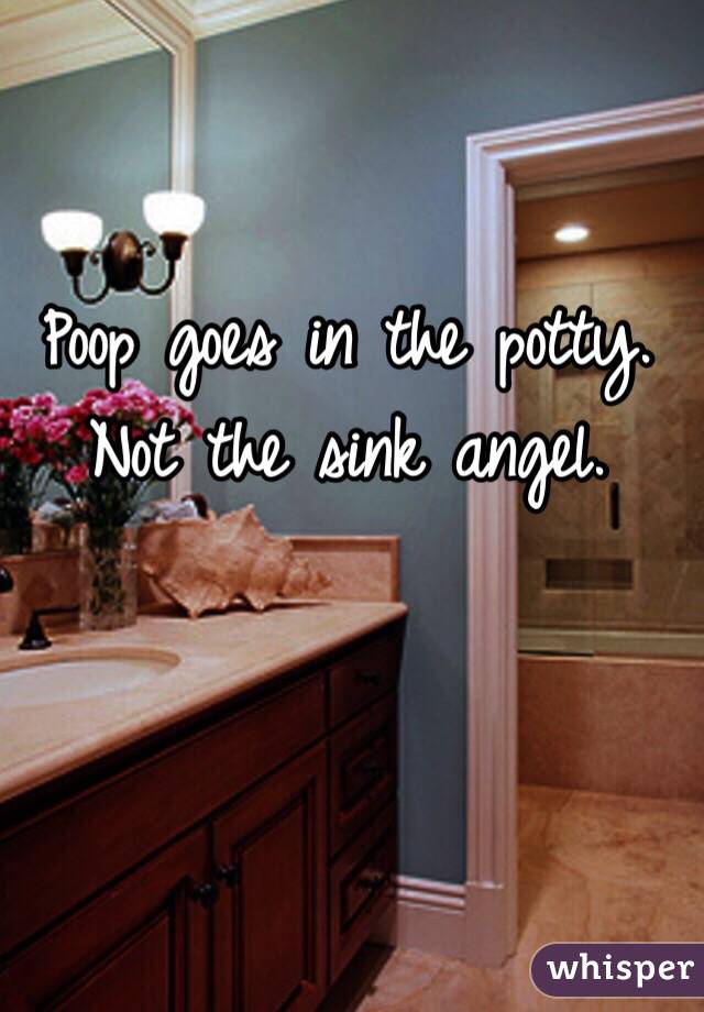 Poop goes in the potty. Not the sink angel. 