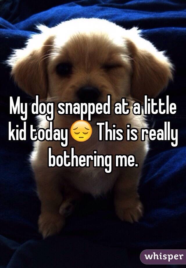 My dog snapped at a little kid today😔 This is really bothering me. 