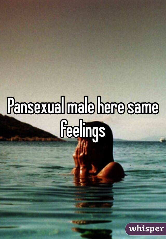 Pansexual male here same feelings