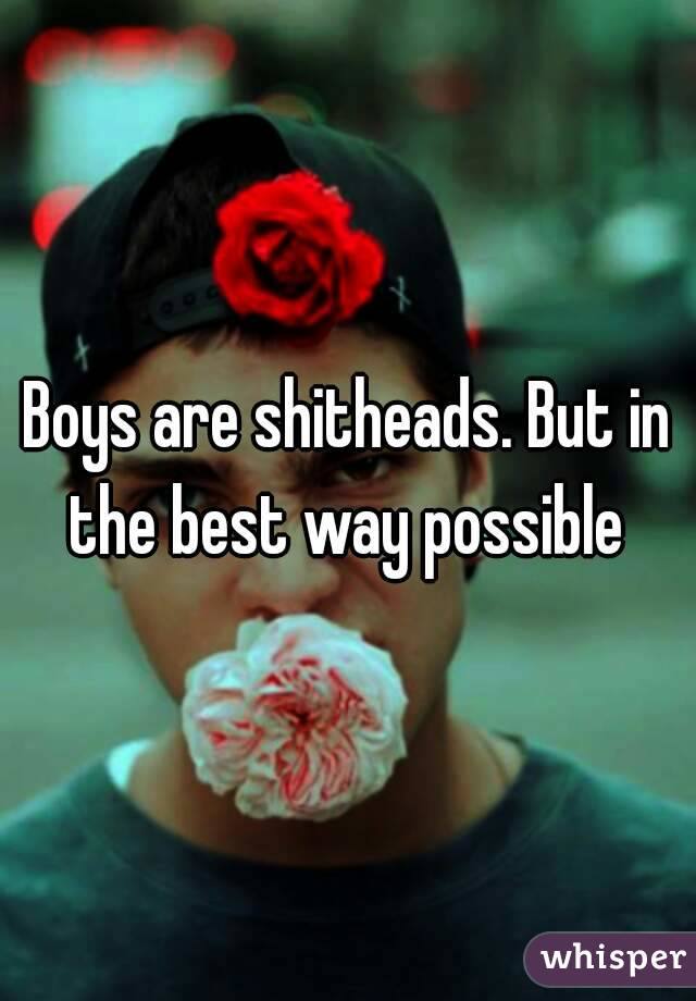 Boys are shitheads. But in the best way possible 